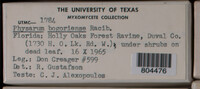 Image Associated With the Occurence
